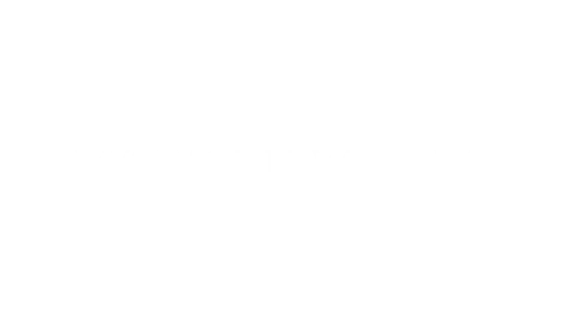 Worldwide Va - worldwide va logo white